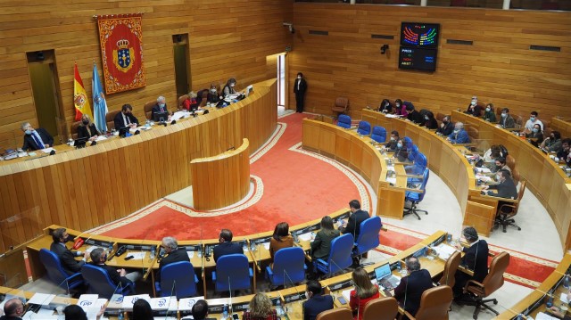 Proposicións non de lei aprobadas polo Pleno do Parlamento de Galicia o 23 de decembro de 2020